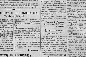 Октябрь 1954 г. фото #1