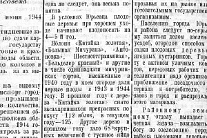 Октябрь 1944 г. фото #2